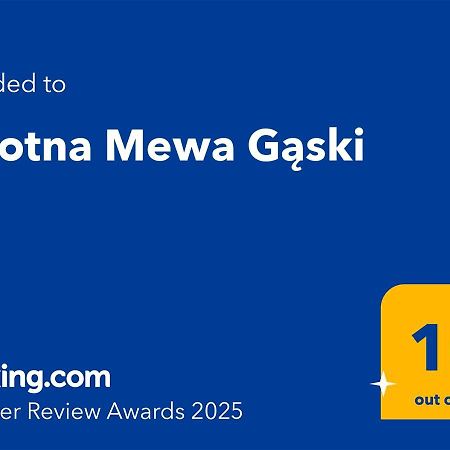 Zalotna Mewa Gaski Dış mekan fotoğraf
